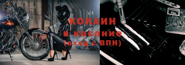 индика Арсеньев