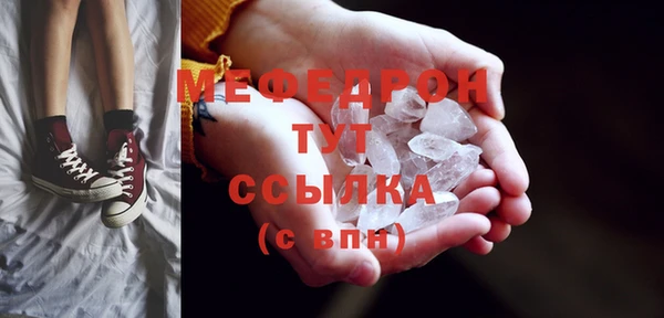 индика Арсеньев