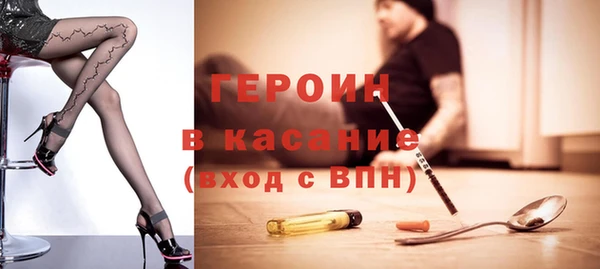 индика Арсеньев