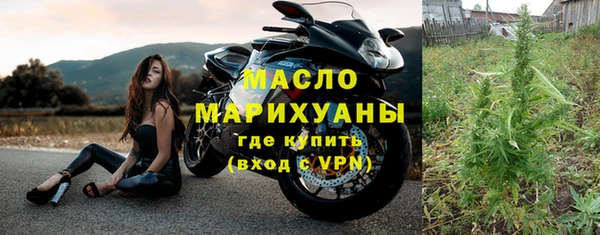 индика Арсеньев