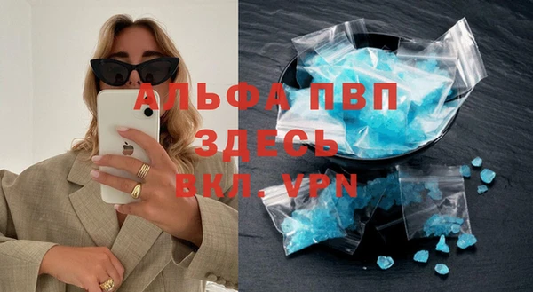 индика Арсеньев