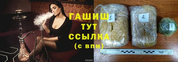 индика Арсеньев
