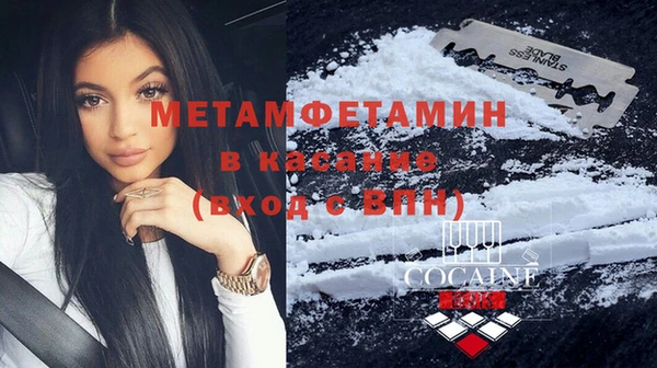 индика Арсеньев
