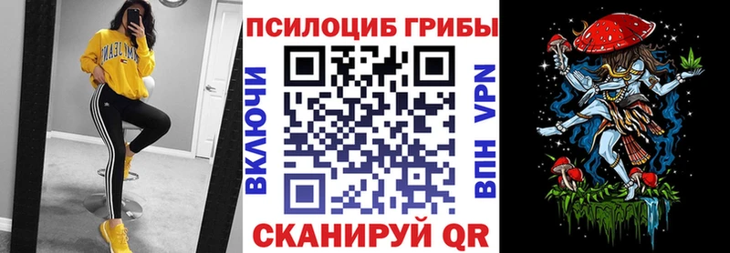 Псилоцибиновые грибы мицелий  купить наркотик  Ипатово 